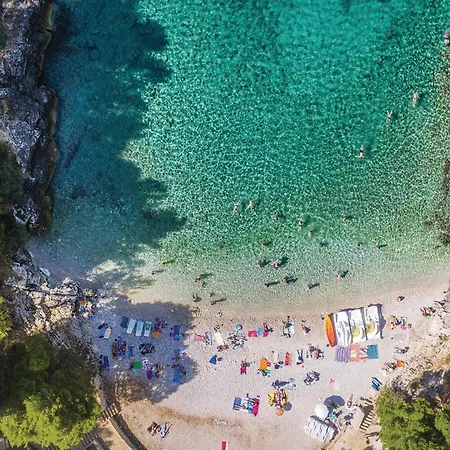 Lovely In With Wifi Apartment